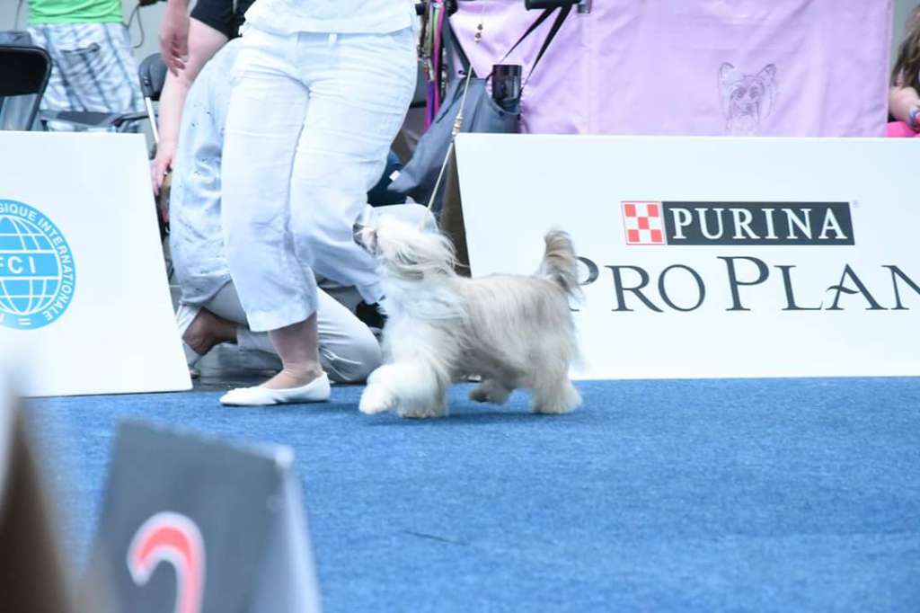 Crest'd Label Fresh Of The Press