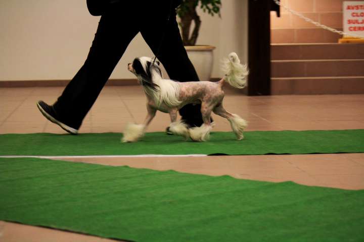 Love Bites Two Minutes To Midnight