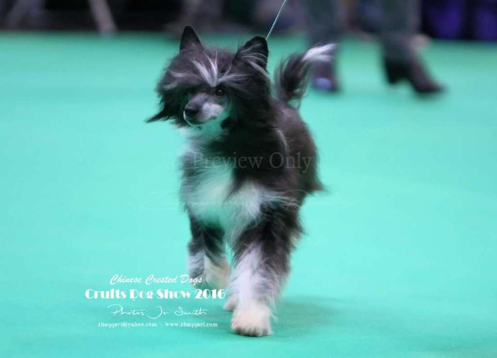 Michadaine Xpress Yourself