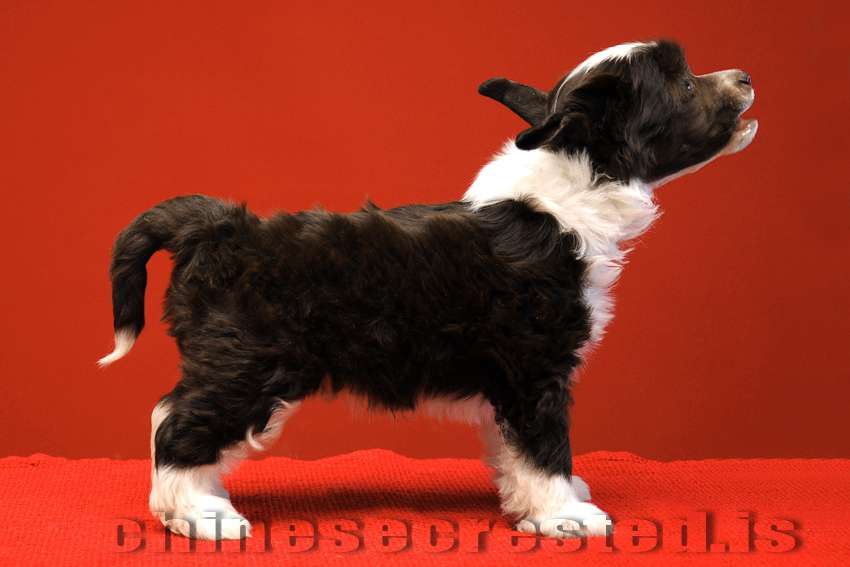 Practical Hero Takes It All