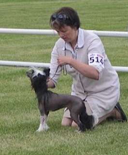 Yorkhouse trix are for kids