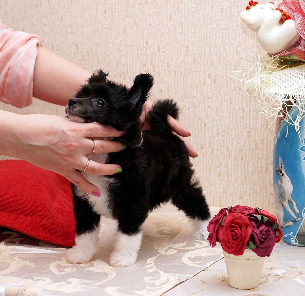 Sky Miracle Tamika Best Friend