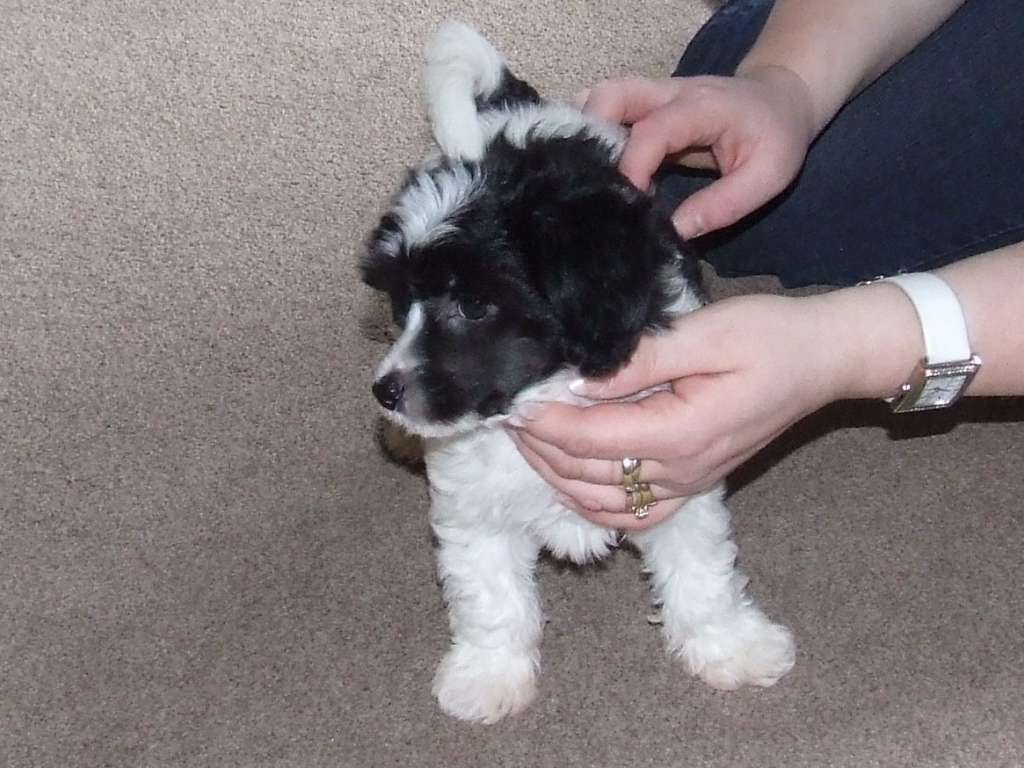 Justeph Prince Of Darkness