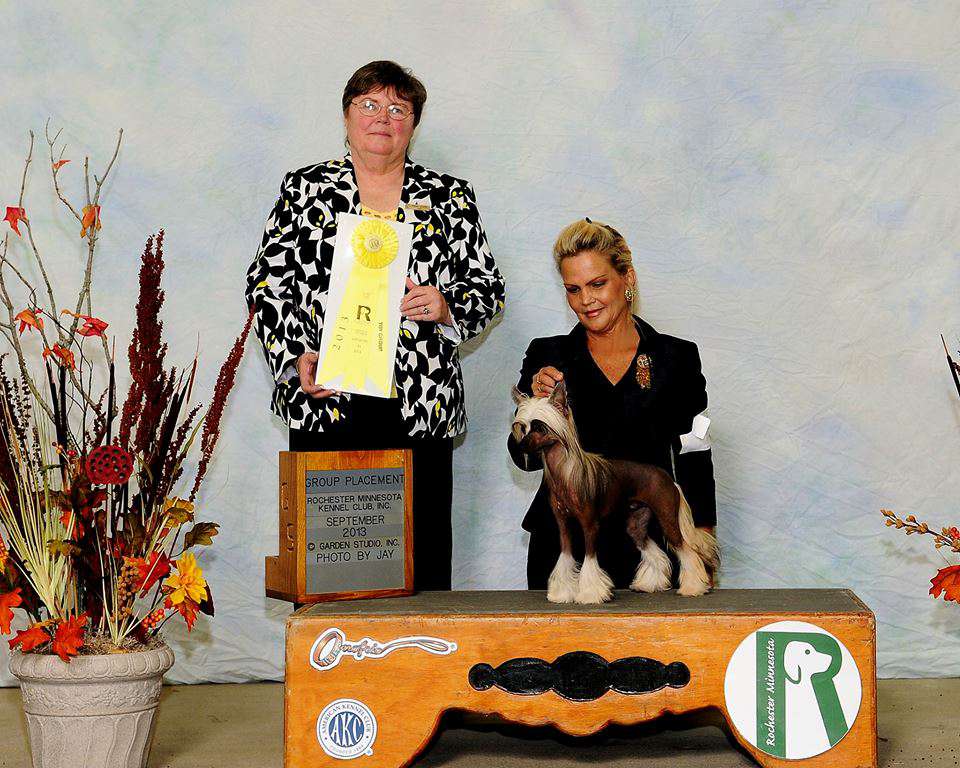 Sire Of Distinction Sire Of Merritt  Gchs  Biss Gr