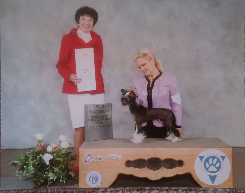 GCHB Sondras Scarlett Ohairless Of Kylin  PLL/PRA 