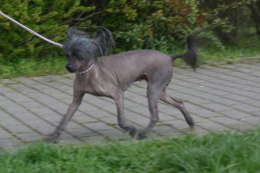 Megan Fox Miracolo Dell'anima