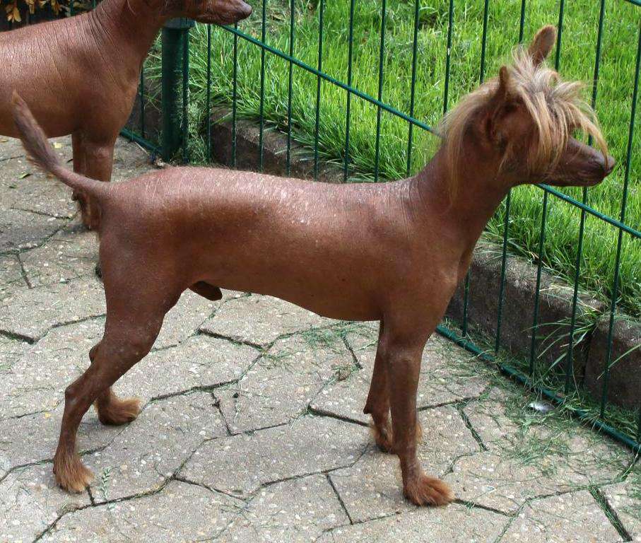 Nelson Graf Miracolo Dell'anima