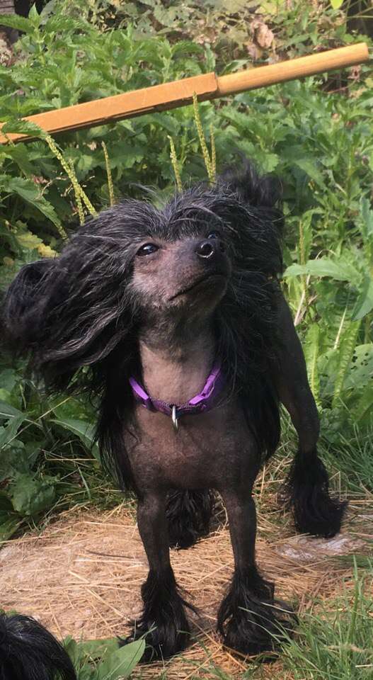 Charuyuschiy Soblazn Tayana Yagodka