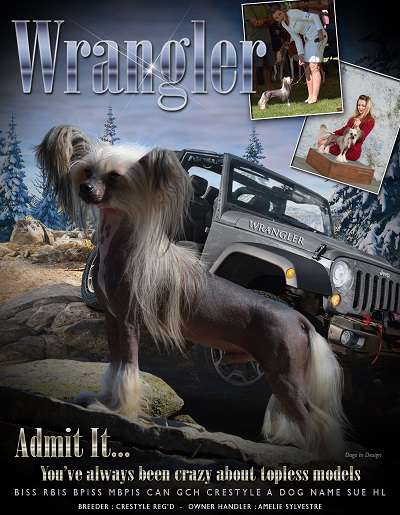 Biss (national) Rbis Bpis Bpiss Grch Crestyle A Do