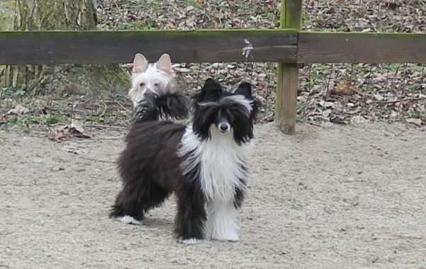 Nina Top Model De Rama