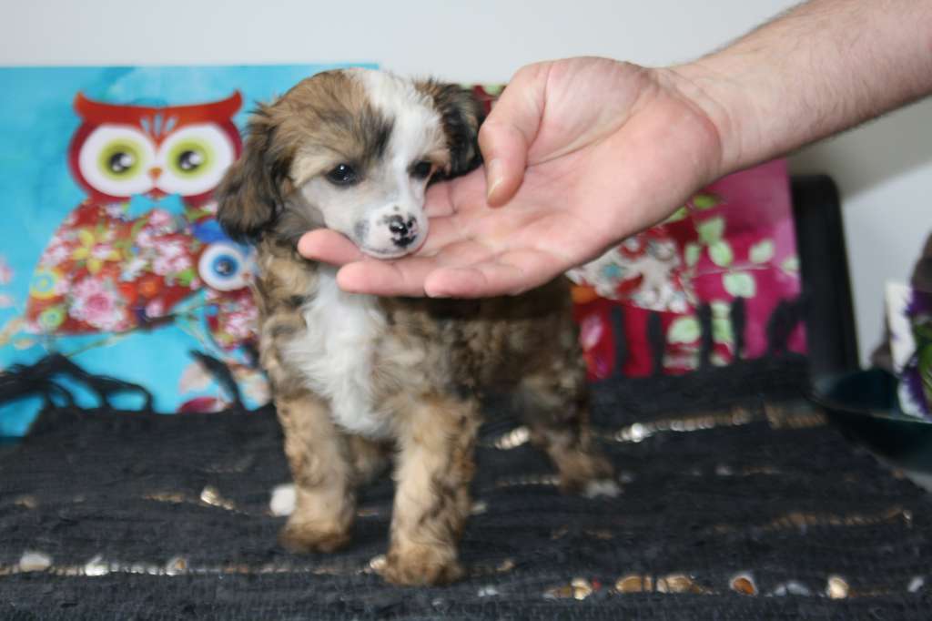 Let It All Out of Angel's Legacy