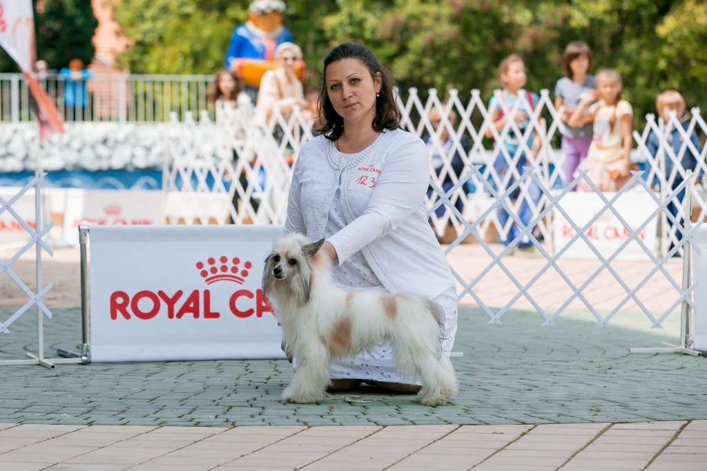 Satisfy In All  Iz Ordena Ekate-Riny