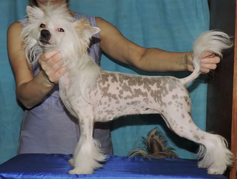 Solveig Goro Fantasy