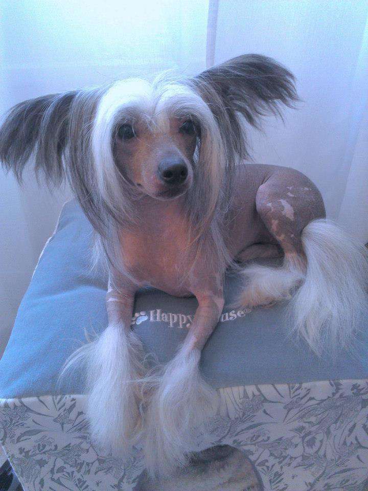 Namilon Wood Strawberry