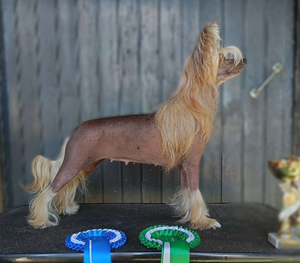 Zinnystars Almost Like A Daddy