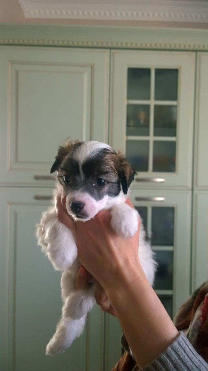 Style&Toy Bruce Wayne