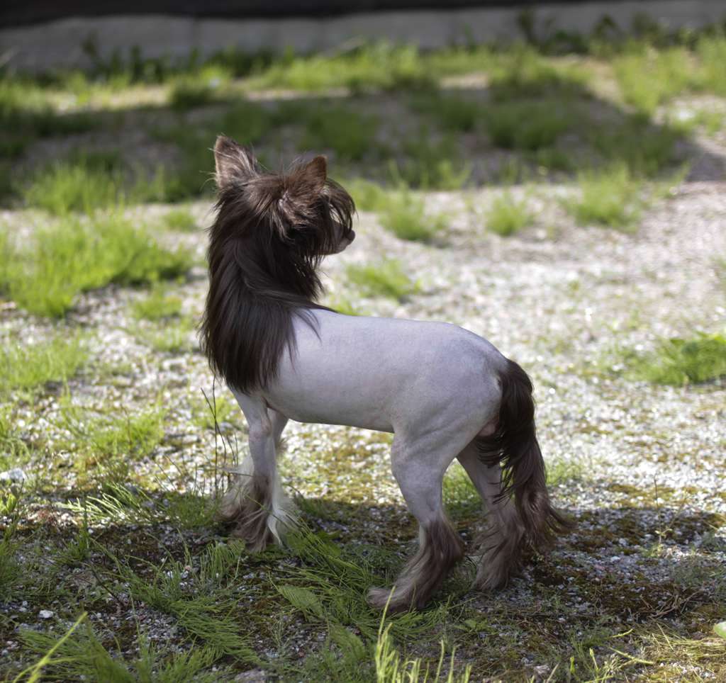 Vernisazh Mari Domingo