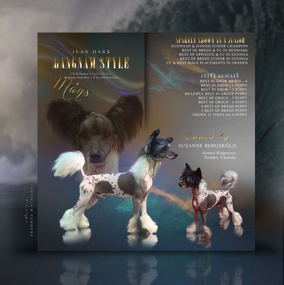 Jean Dark Gangnam Style