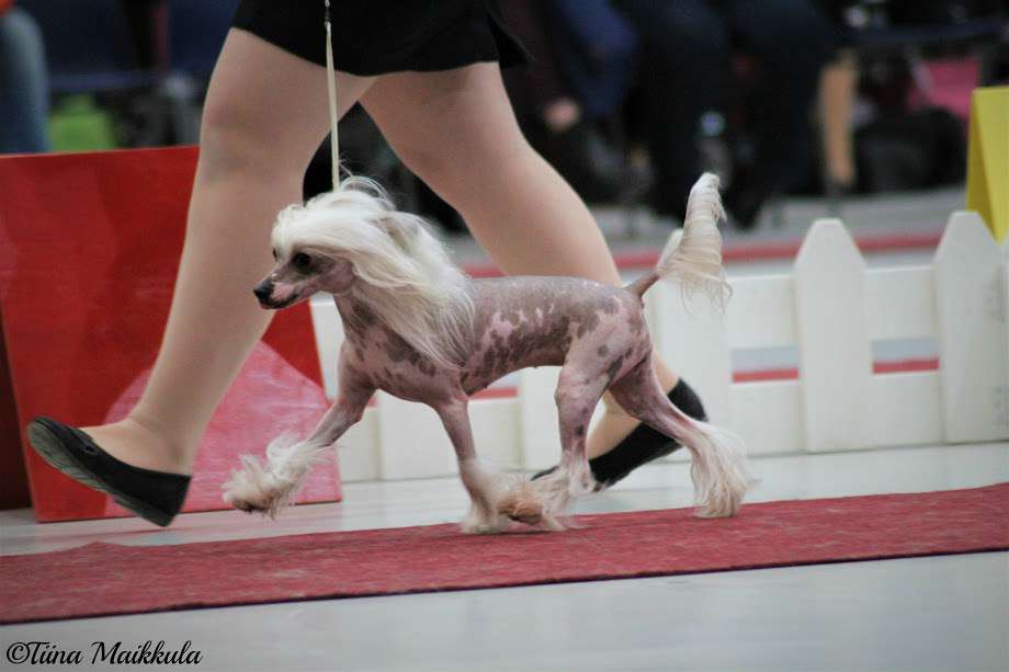 Jean Dark Good Day Sunshine