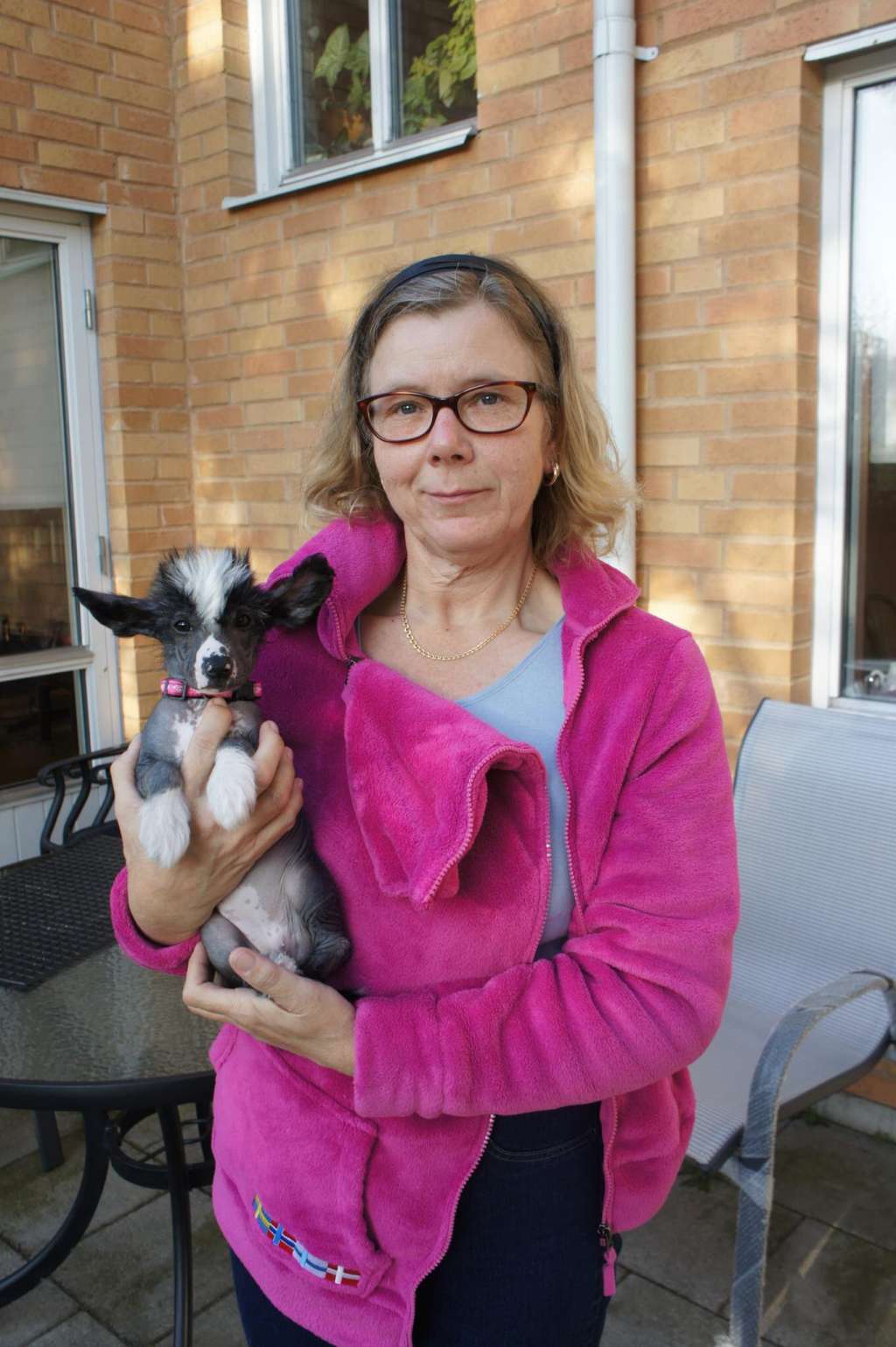 Ying Yang,s Daydream Believer