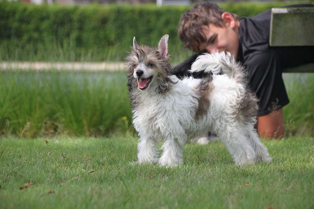 Parwiz Juma Diamond Place