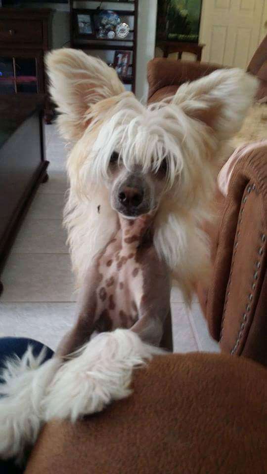 Myrtans Single N Luvn It