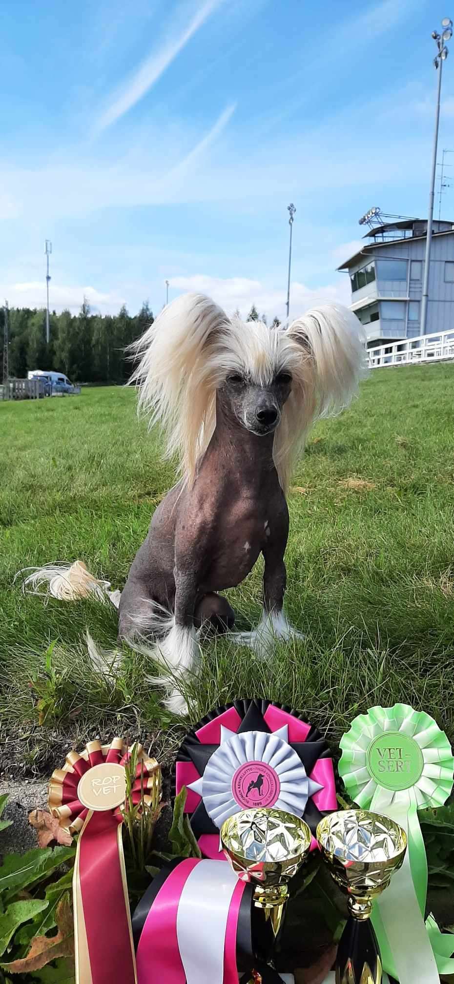 Mirbon's Carrot Cake