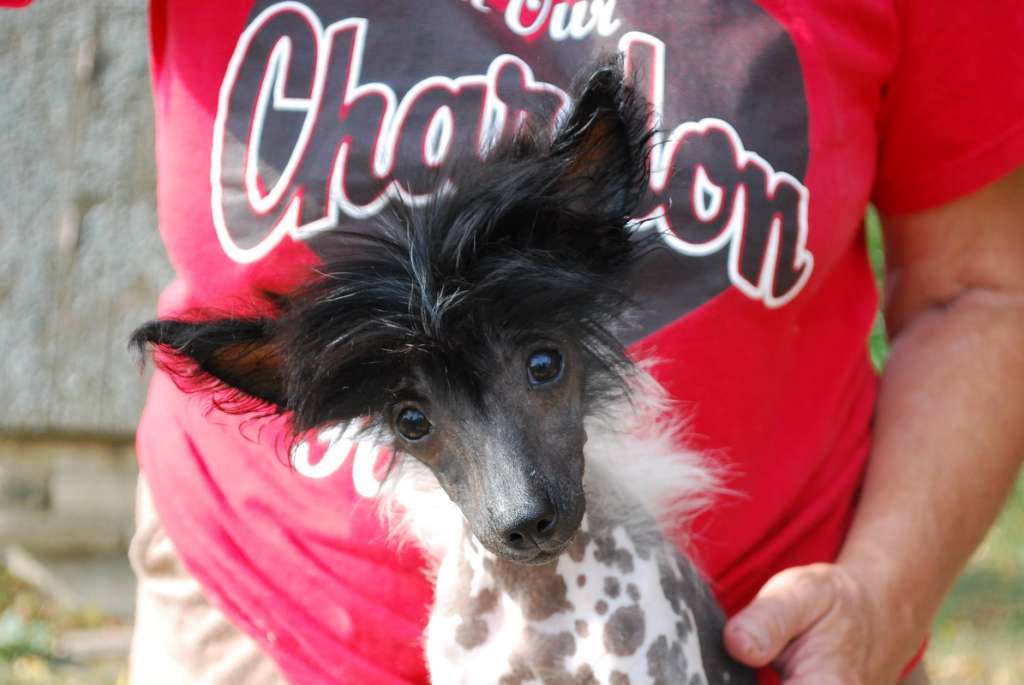 High Class Lady Epocha