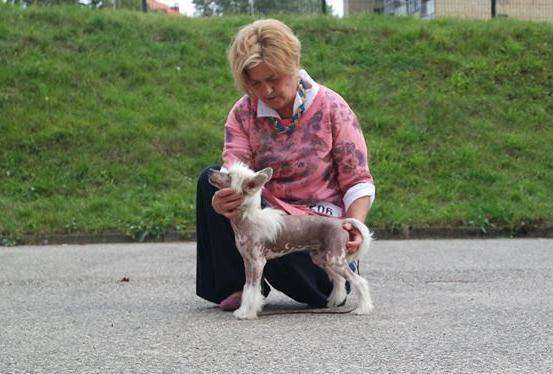 Hugs And Kisses Epocha