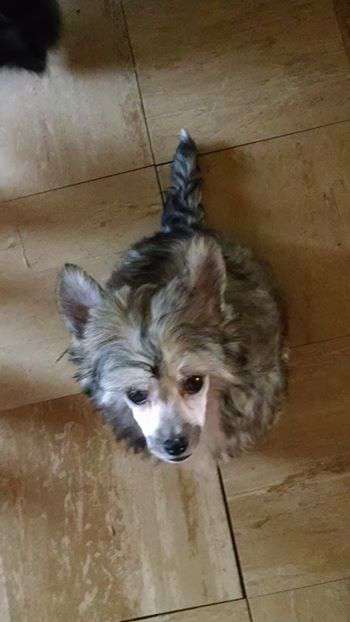 Lesmars Barefoot N Southern