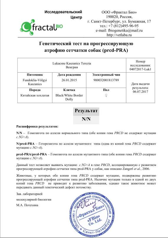 Black&Withe Border Dolly