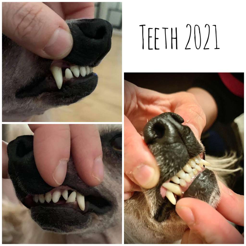 Jean Dark Head Over Heels