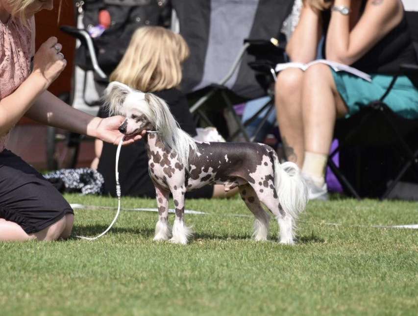 Jean Dark Hit The Road Jack