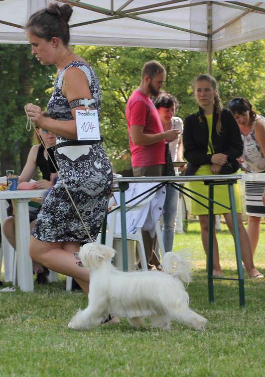 Nakajima Betty Gattaca