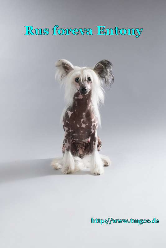 Rus Foreva Entony