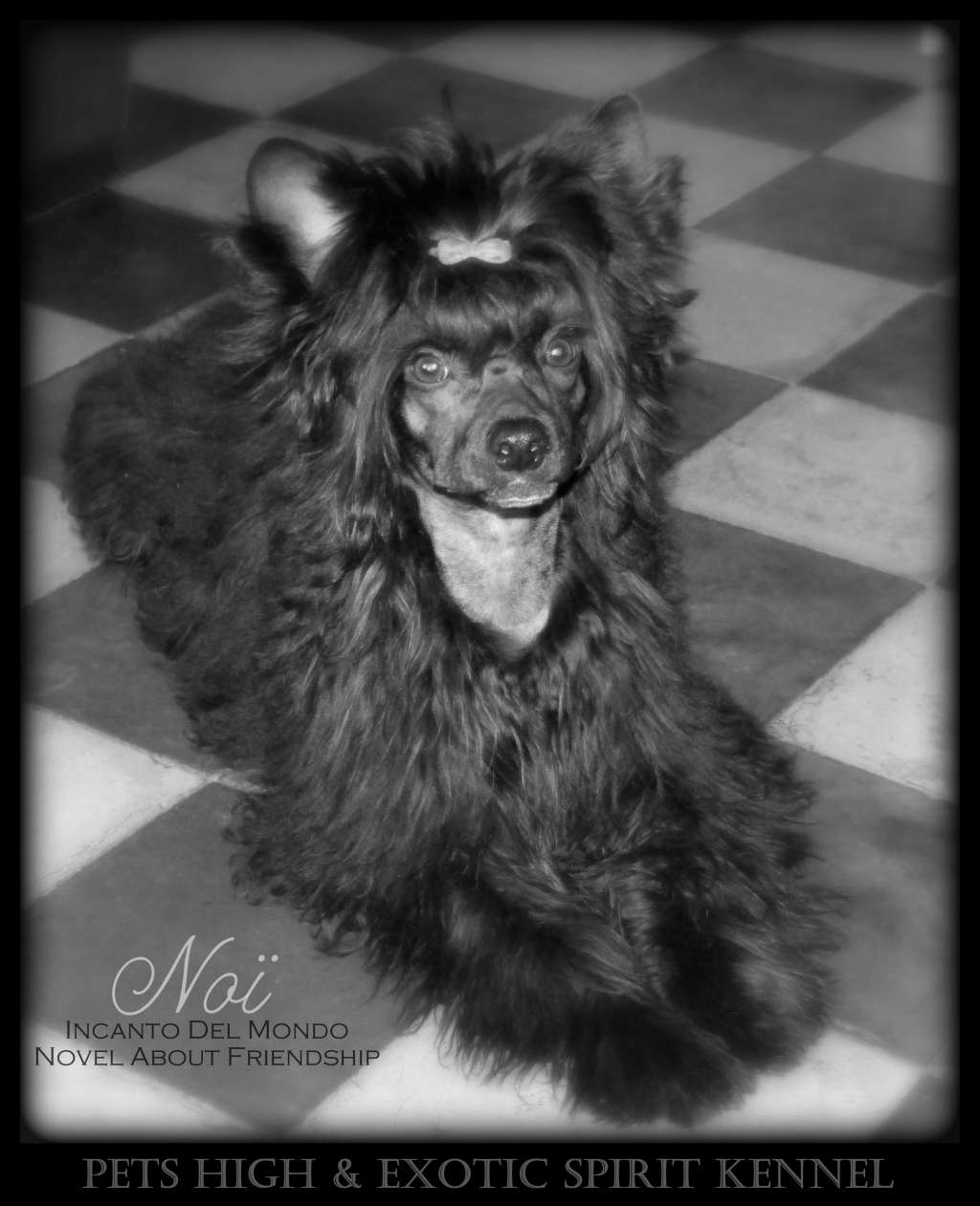 Incanto Del Mondo Novel About Friendship