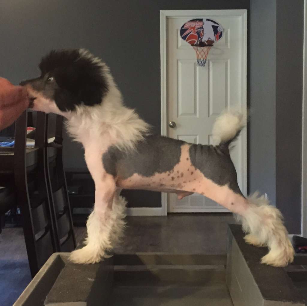 Jabala's Calm Before The Storm