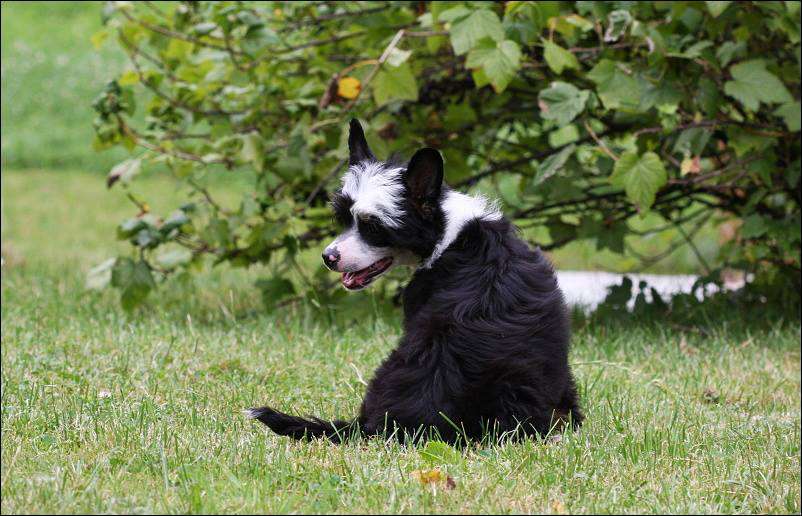 Zero Gravity Avokaduh