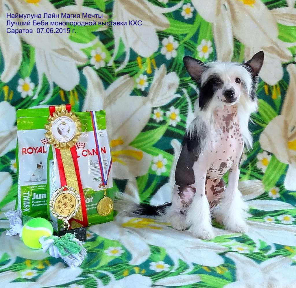 Naimuluna Line Magiya Mechti