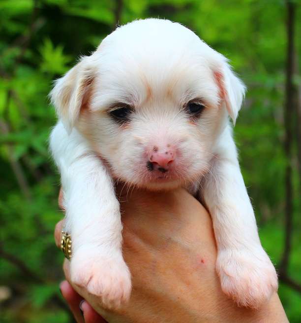 Angel O' Check D.......