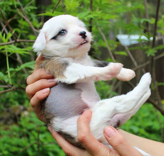 Angel O' Check D.......