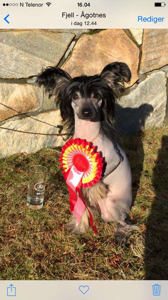 All you wanted Jason