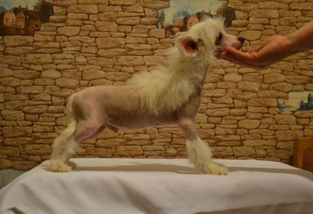 Ketrin Kristol Vinsent