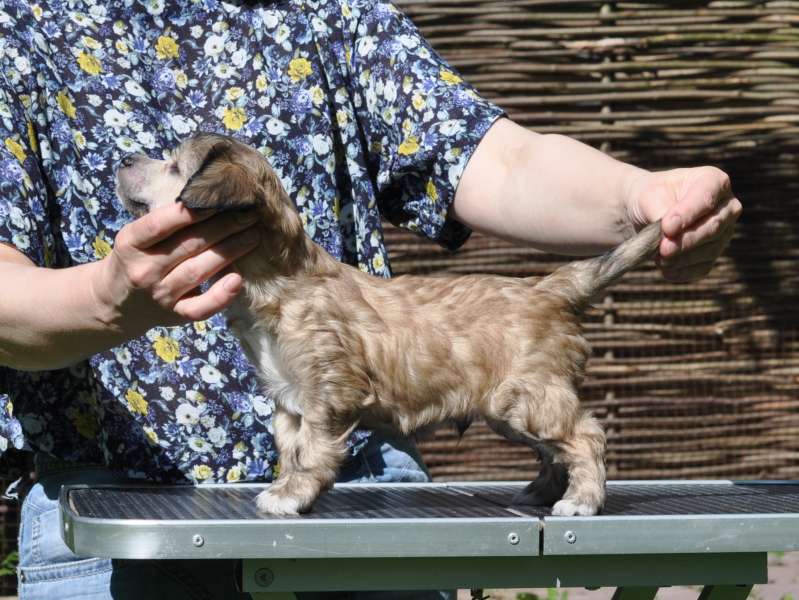 Zholesk Self Control