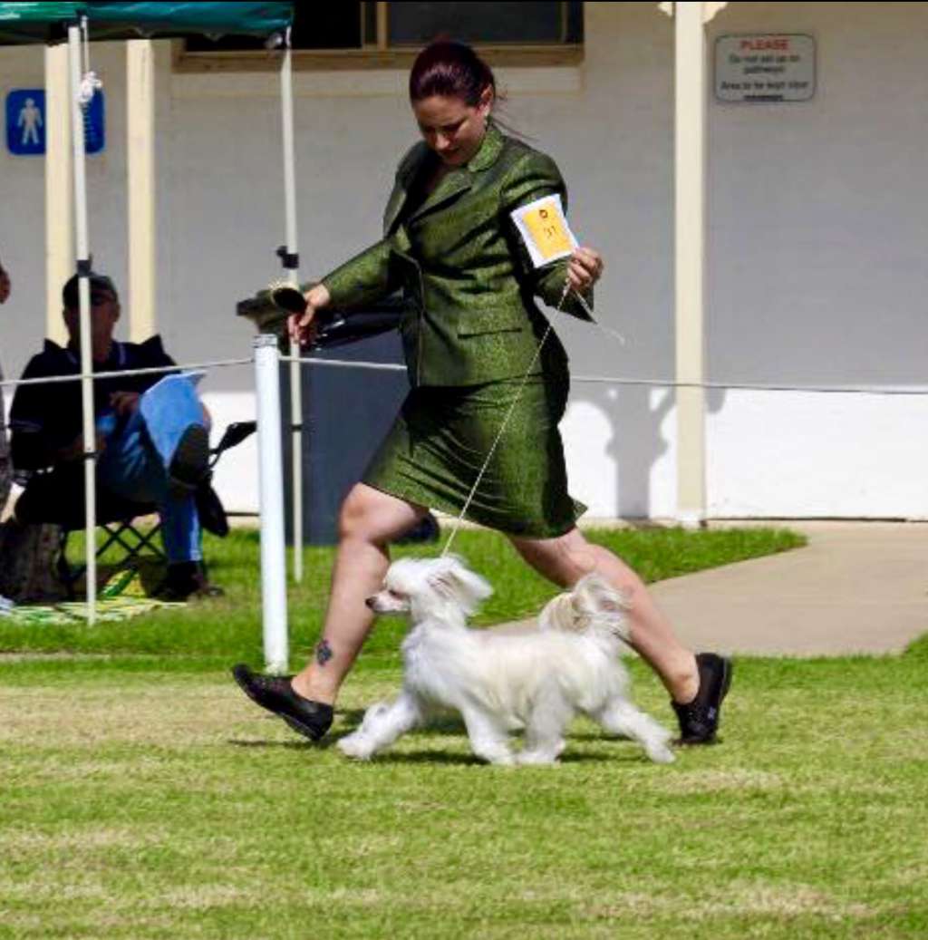 Blackheath Drama Queen