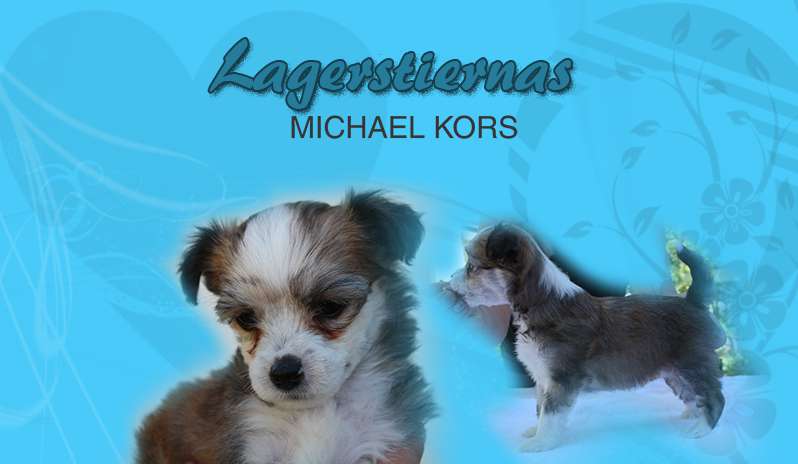 Lagerstiernas Michael Kors