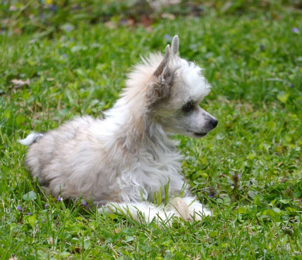 Delende Next Big Thing Worka Art