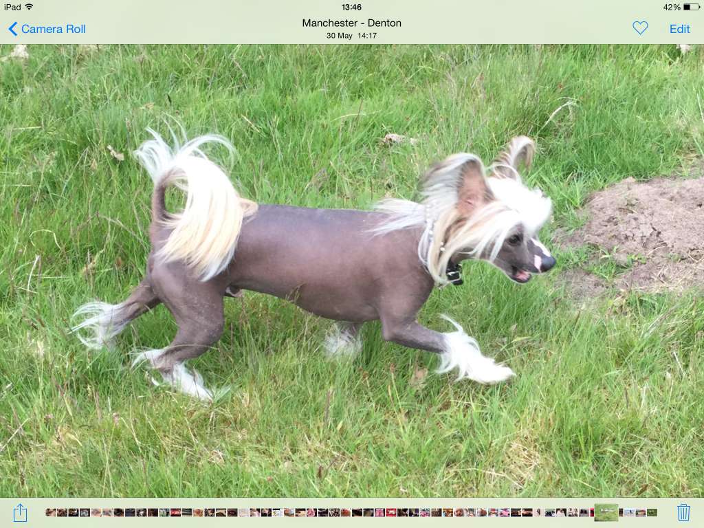 Myglees what women want