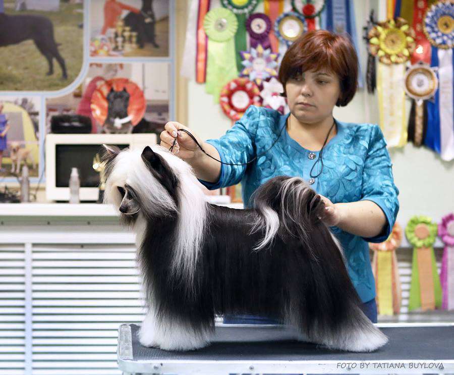 Arshaus Guan Tsay Men Hu