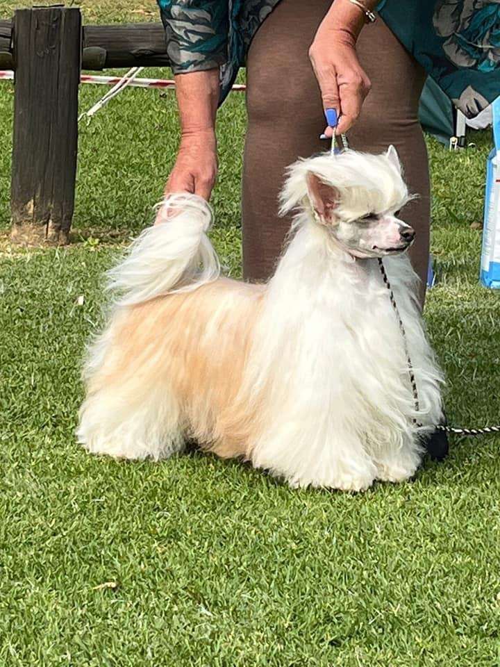 Un Love Story von Shinbashi